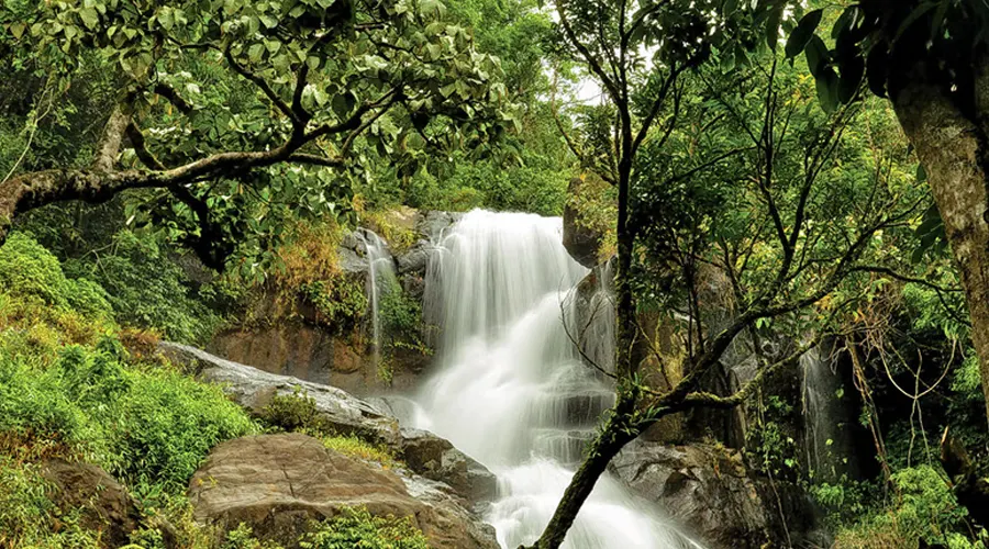 Chethalayam Waterfalls